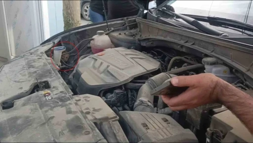 Aracın motoruna giren yavru kedi telefondan miyavlama sesi açılarak çıkartıldı

