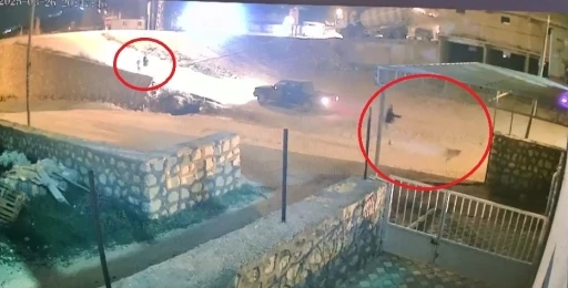 Aracına havlayan köpeğe sokak ortasında kurşun yağdırdı: O anlar kamerada
