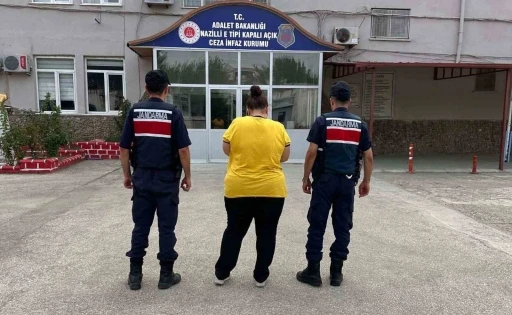 Aranan şahıslar jandarmadan kaçamadı
