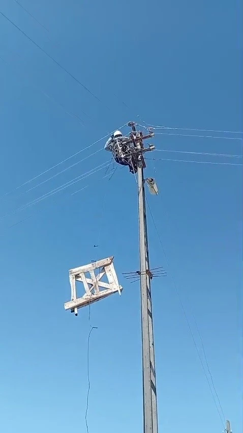 Aras Elektrik&rsquo;ten doğa dostu adım: Fırtınada zarar g&ouml;ren leylek yuvaları yeniden yerine yerleştirildi

