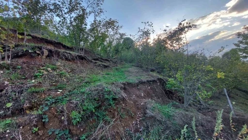 Araziler parçalandı, evler yamuldu: Taş ocağı mahalleyi yok etmeye başladı
