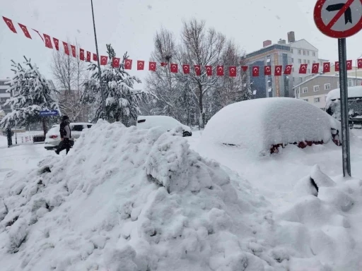 Ardahan&rsquo;da 132 k&ouml;y yolu ulaşıma kapandı
