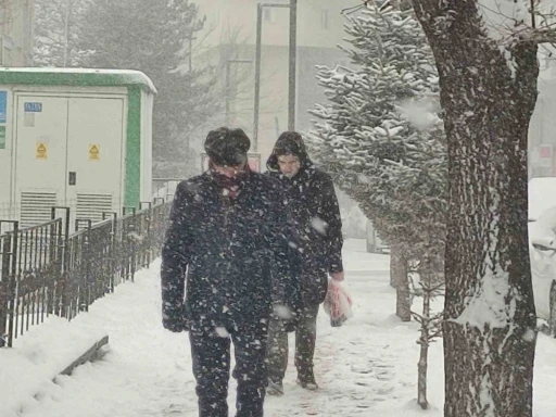 Ardahan&rsquo;da 45 k&ouml;y yolu ulaşıma kapandı
