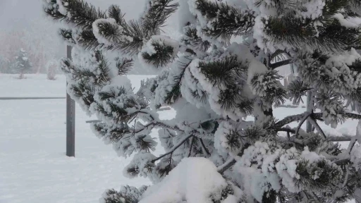 Ardahan&rsquo;da dondurucu soğuklar etkisini artırdı: Ağa&ccedil;lar kırağı tuttu
