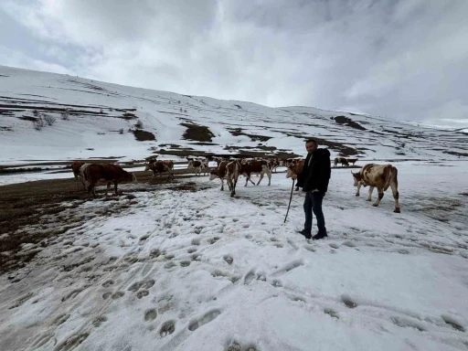 Ardahan&rsquo;da kış mevsiminin uzaması hayvancılığı vurdu
