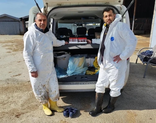 Ari işletmede t&uuml;berk&uuml;loz ve brusella testi yapıldı

