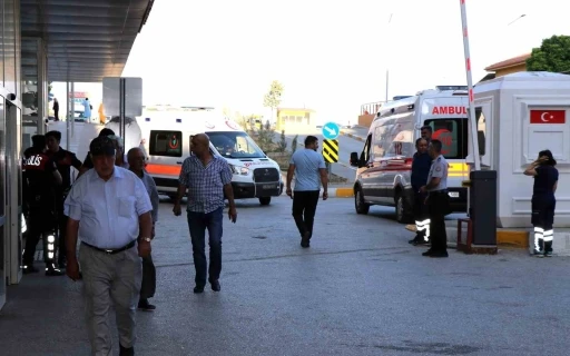 Arı sokmasına bağlı ciddi alerjik reaksiyonlar &ouml;l&uuml;me sebep olabilir