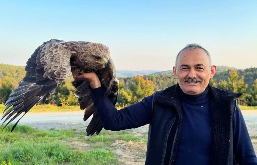 Arnavutköy’de ormanda ot toplayan vatandaş yaralı Kaya Kartalı buldu
