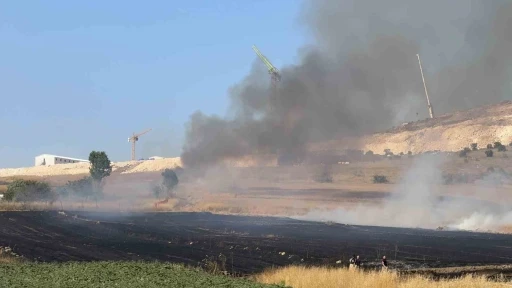 Arnavutköy Sazlıbosna’da tarım arazisinde yangın paniği
