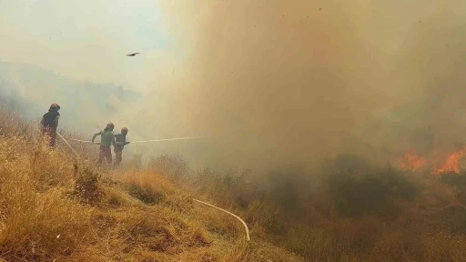 Arnavutluk’ta orman yangını: 1 ölü, 8 yaralı
