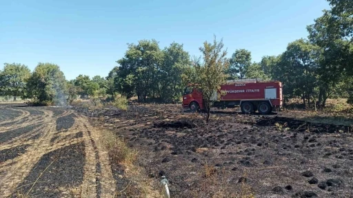 Arpa ekili alanda çıkan yangın ormanlık alana sıçramadan söndürüldü
