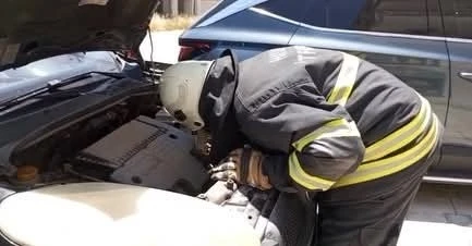 Arsuz&rsquo;da aracın motor kısmına giren yavru kedi kurtarıldı
