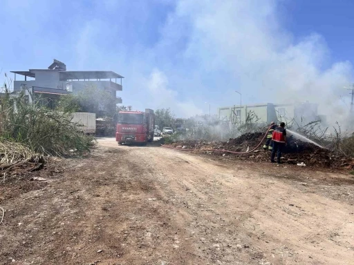 Arsuz’da sazlık yangını
