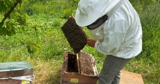 Artvin&rsquo;de bal hasat sezonu &ouml;ncesi &uuml;reticilerle buluşma
