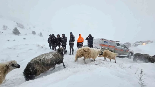 Artvin&rsquo;de &ccedil;ığ altında kalan 3 &ccedil;obandan birinin cansız bedenine ulaşıldı
