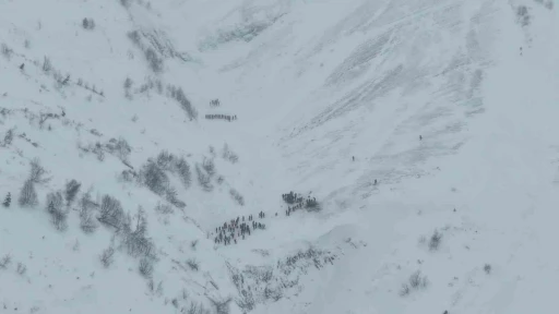 Artvin&rsquo;de &ccedil;ığ altında kalan &ccedil;obanları arama &ccedil;alışmaları havadan g&ouml;r&uuml;nt&uuml;lendi
