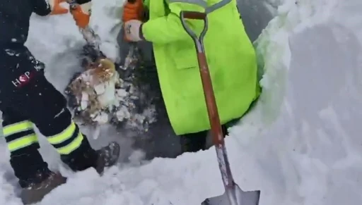 Artvin&rsquo;de &ccedil;ığ b&ouml;lgesinde arama kurtarma &ccedil;alışmaları ikinci g&uuml;nde yeniden başladı
