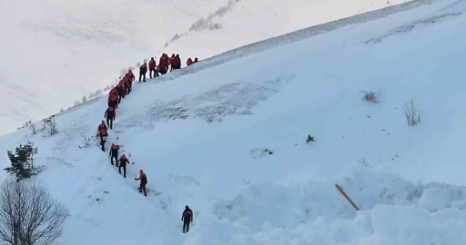 Artvin&rsquo;de &ccedil;ığ faciasında kayıp &ccedil;oban i&ccedil;in arama &ccedil;alışmaları &uuml;&ccedil;&uuml;nc&uuml; g&uuml;n&uuml;nde yeniden başladı
