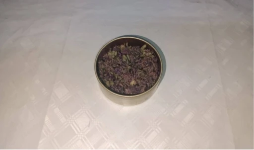 Artvin&rsquo;de endemik yayla &ccedil;ayı &ccedil;i&ccedil;eği ka&ccedil;ak&ccedil;ılığına Jandarma engeli
