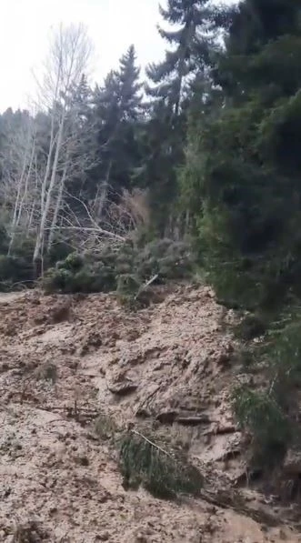 Artvin’de heyelan ormanı yerle bir etti, köy yolunu ulaşıma kapattı
