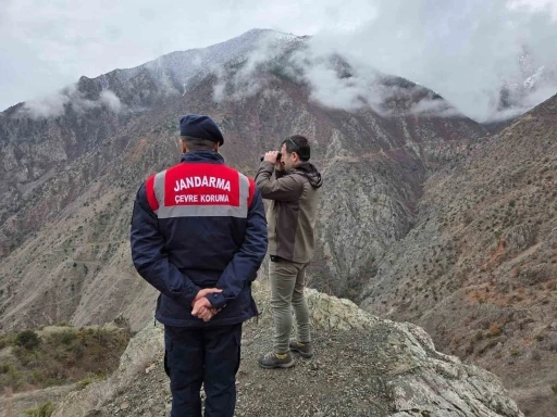Artvin&rsquo;de ka&ccedil;ak ve usuls&uuml;z avcılığa y&ouml;nelik denetimler s&uuml;r&uuml;yor
