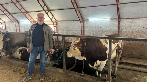 Artvin&rsquo;de kurbanlıklar pazara &ccedil;ıkmayı bekliyor
