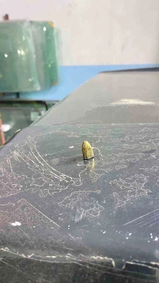 Artvin’de maganda kurşunu park halindeki araca ve iş yerine isabet etti
