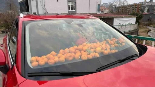 Artvin&rsquo;de mandalina bereketi torpidoya taştı
