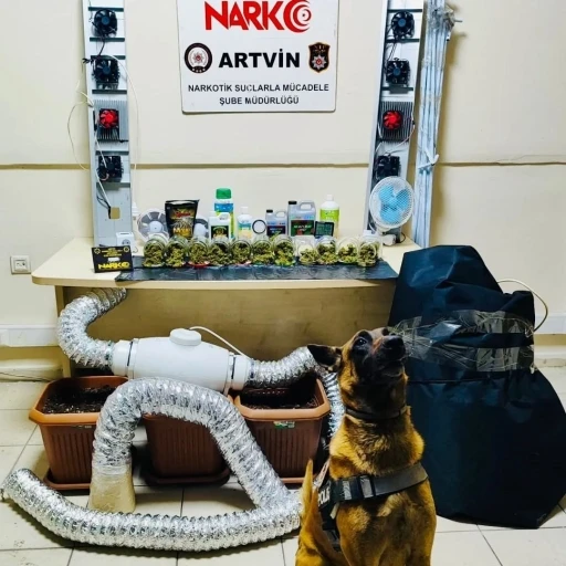 Artvin&rsquo;de uyuşturucu madde ve yetiştirme d&uuml;zeneği ele ge&ccedil;irildi

