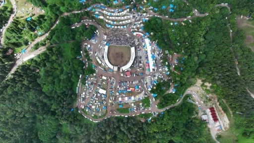 Artvin’in Kafkasör Yaylası’nda boğaların 44. randevusu nefes kesti

