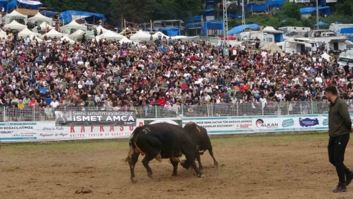 Artvin&rsquo;in Kafkas&ouml;r Yaylası&rsquo;nda boğaların 45. randevusu nefes kesti
