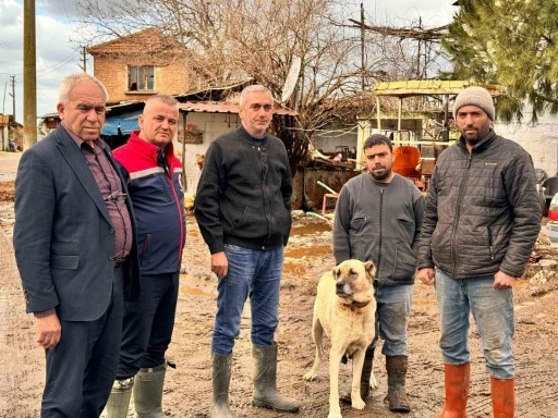 Aşırı yağışlar sonrası S&ouml;ke&rsquo;de hayvanlar g&uuml;venli b&ouml;lgelere alındı
