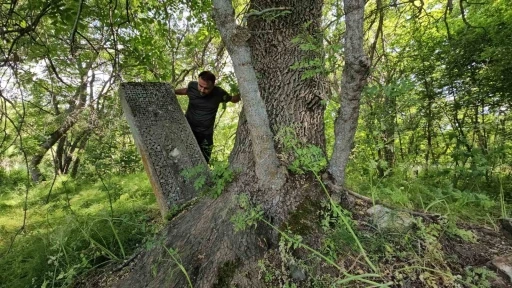 Asırlık mezarlar ağaçların arasında kayboldu
