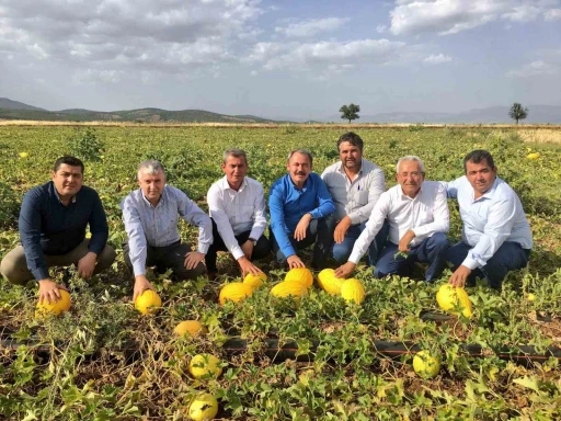 Asırlık miras Acıpayam kavunu tescillendi
