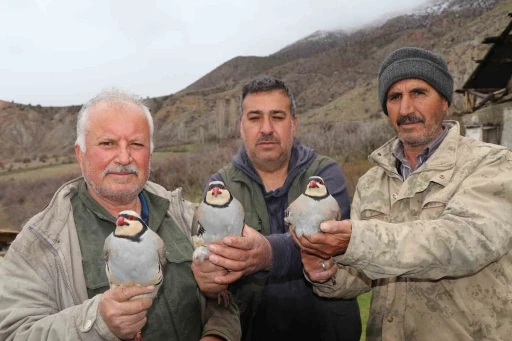 Atadan toruna kalan miras:  "Baskın keklik" y&ouml;ntemiyle dev envanter
