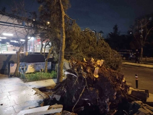 Ataşehir&rsquo;de fırtına nedeniyle ağa&ccedil; devrildi
