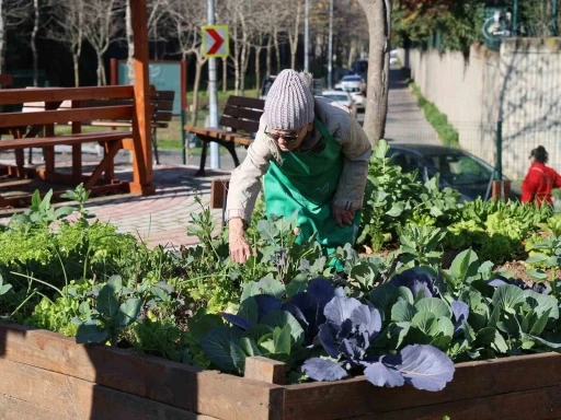 Ataşehir Kent Bostanları&rsquo;nda yeni d&ouml;nem heyecanı başlıyor
