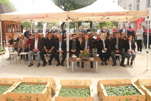 Atıl tarım arazilerinde sebze yetişecek
