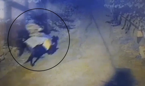 Atla geldi, yaşlı çifti öldürüp kaçtı
