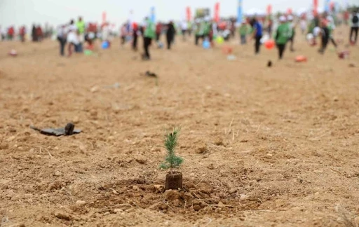 AT&Uuml; yeşil kamp&uuml;s olma yolunda ilerliyor: Dikilen fidan sayısı 22 bin 500&rsquo;&uuml; buldu
