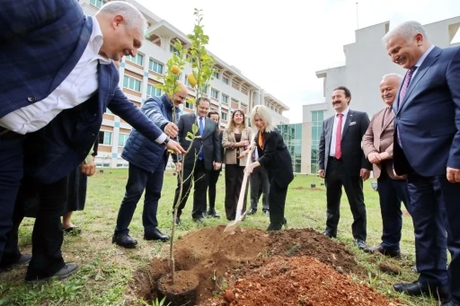 A&Uuml; İlahiyat Fak&uuml;ltesi bah&ccedil;esine 100 ağa&ccedil; dikildi
