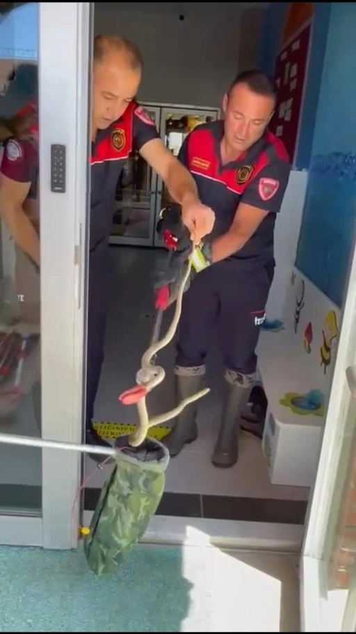 Ayakkabılıktan çıkan yılan paniğe neden oldu

