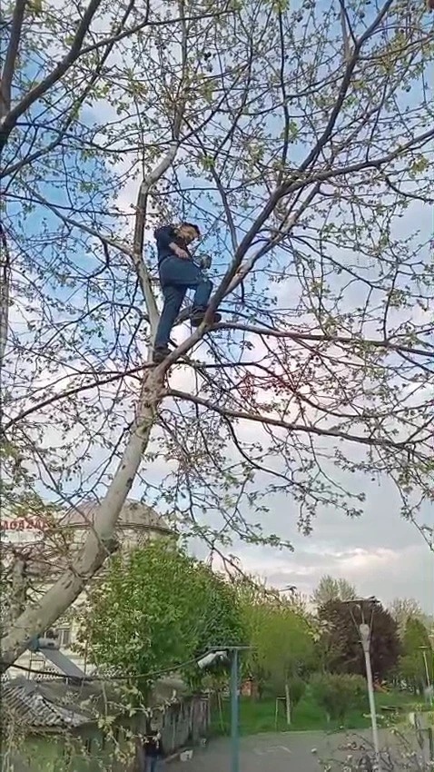 Ayakları ipe dolanan güvercini vatandaş kurtardı

