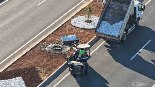 Aydın B&uuml;y&uuml;kşehir Belediyesi&rsquo;nden Acarlar-Şehir Hastanesi yolunda peyzaj d&uuml;zenlemesi
