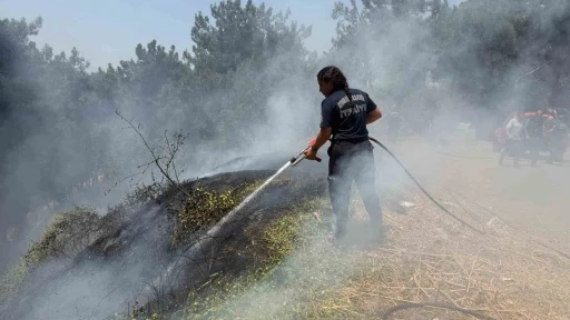Aydın B&uuml;y&uuml;kşehir İtfaiyesi 8 g&uuml;nde 445 yangına m&uuml;dahale etti
