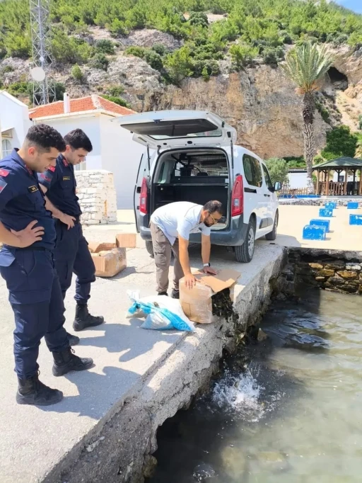 Aydın&rsquo;da 60 kilo canlı yenge&ccedil; ele ge&ccedil;irildi
