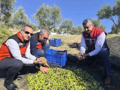 Aydın&rsquo;da bir yılda 3 bini aşkın tarımsal denetim yapıldı
