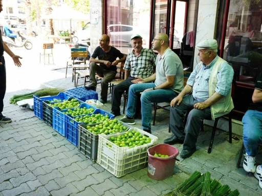 Aydın&rsquo;da ilek pazarında fiyatlar her saat değişiyor
