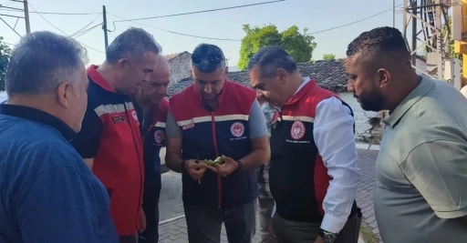 Aydın&rsquo;da ilekleme sezonu yakından takip ediliyor
