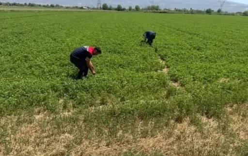 Aydın&rsquo;da kuraklıkla m&uuml;cadele &ccedil;alışmaları s&uuml;r&uuml;yor
